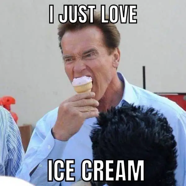 I Love Ice Cream Meme