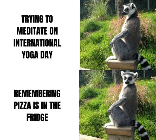 International Yoga Day Meme on Meditation