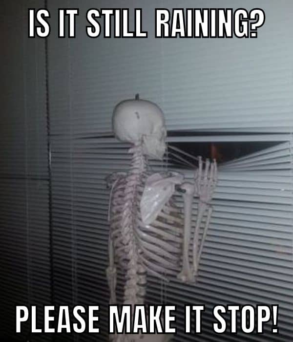 Is It Raining Meme on Skeleton
