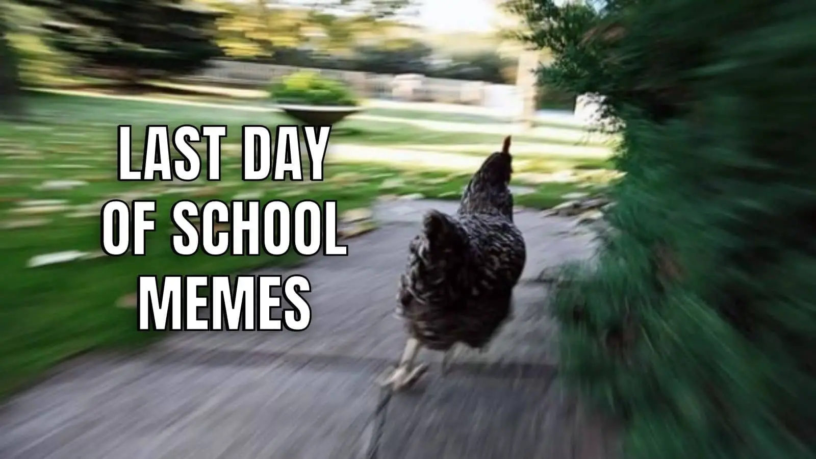 Last Day Of School Memes on Students