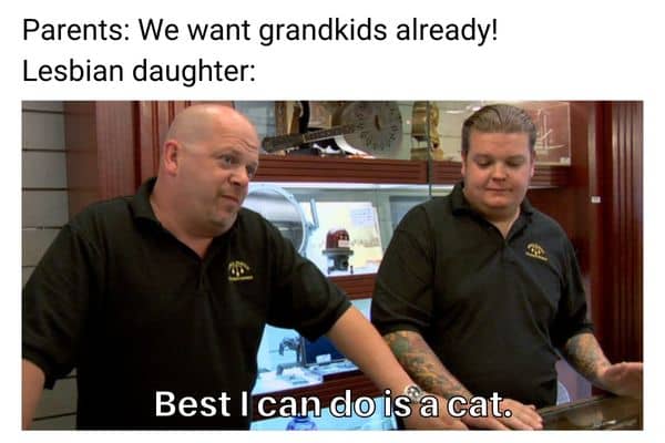 Lesbian Cat Meme