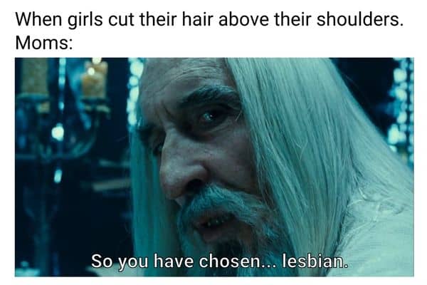 Lesbian Haircut Meme