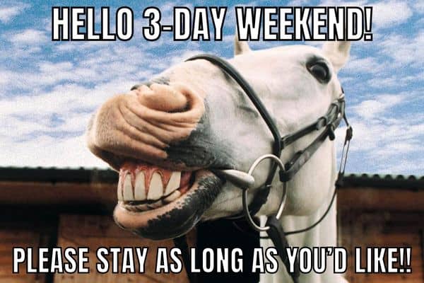 Long Weekend Meme On Horse Teeth