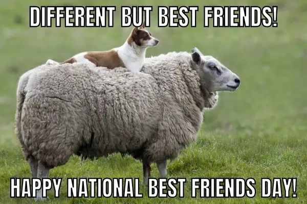 National Best Friends Day Funny Quote