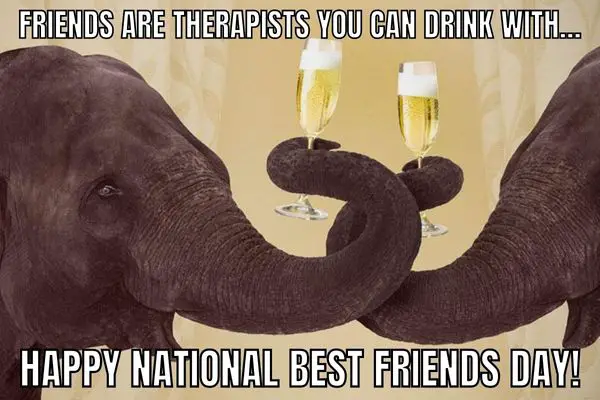 National Best Friends Day Meme on Wine