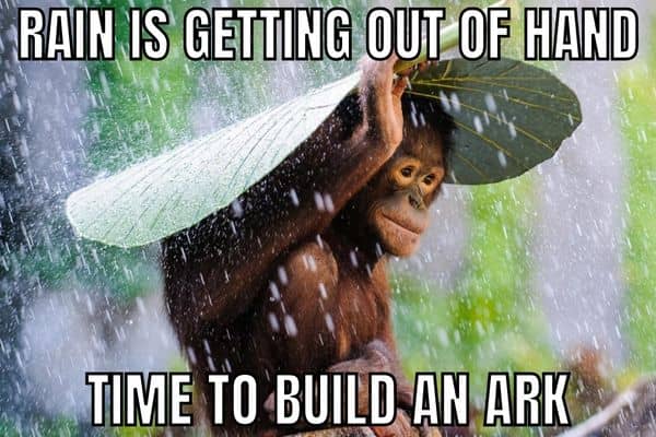 Noah's Ark Meme on Rain