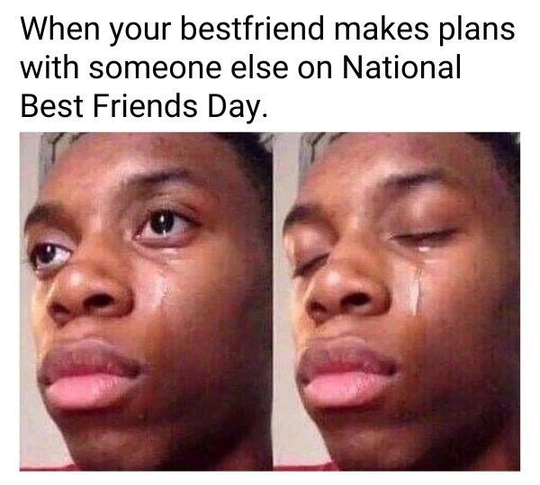 Plan meme on National Best Friends Day