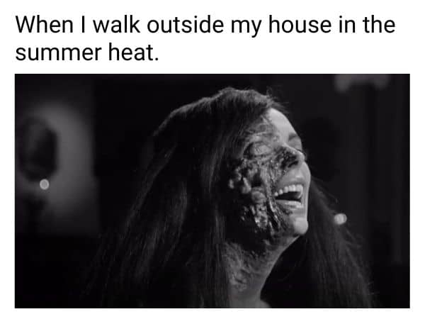 Summer Heat Meme on Allergy