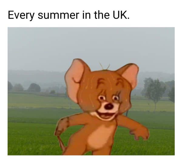 Summer in UK Meme
