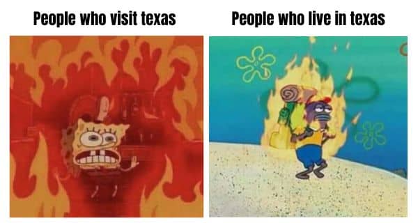 Texas Heat Meme on Summer