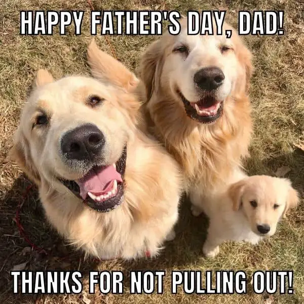 Thank You Dad For Not Pulling out Meme