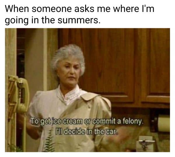 To Get Ice Cream Or Commit A Felony Meme