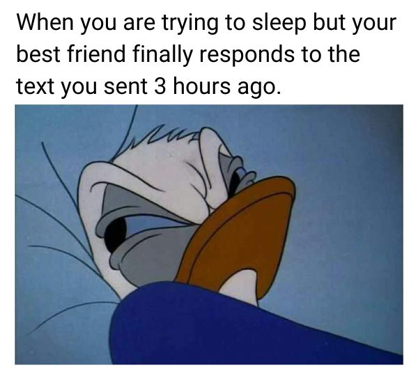 When you are trying to sleep Meme on Best Friend