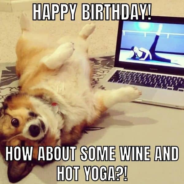 Yoga Happy Birthday Meme on Dog