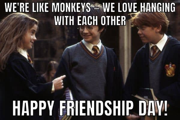 Best Friendship Day Meme on Harry Potter