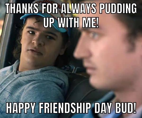 Best Friendship Day Meme on Steve and Dustin