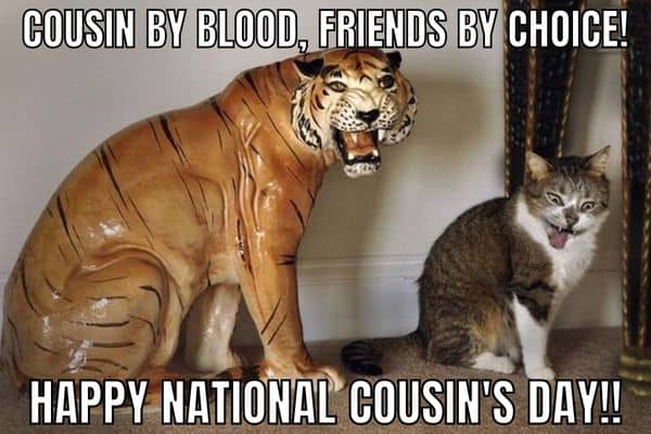 Cousin By Blood Friends By Choice Meme