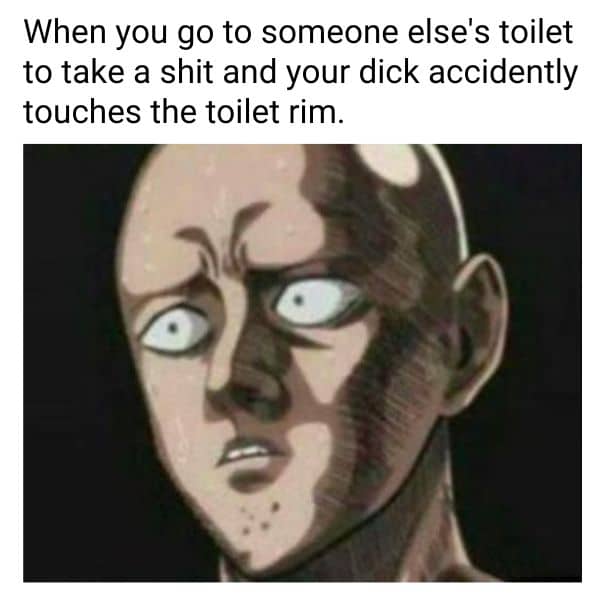 Dick Touch Toilet Rim Meme