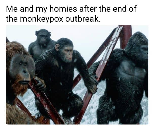 End Of Monkeypox Meme