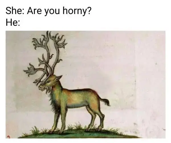 Feeling Horny Meme on Reindeer