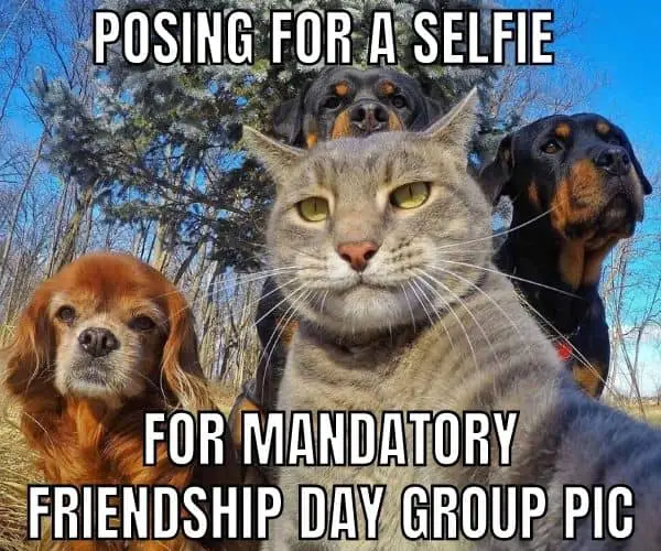 Friendship Day Group Meme