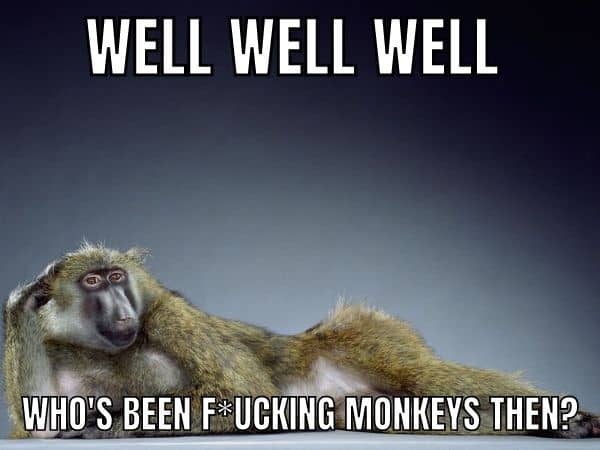 Fucking Monkeys Meme on Monkeypox