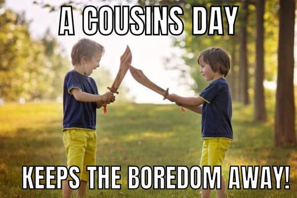 Funny Cousins Day Meme On Fight