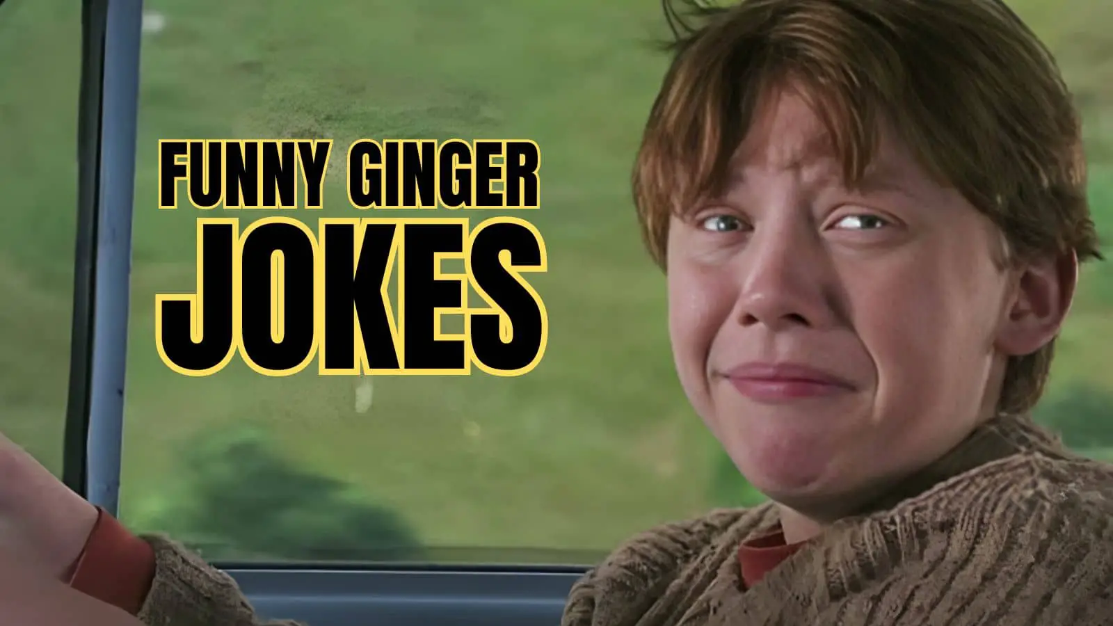 Funny Ginger Jokes on Redhead