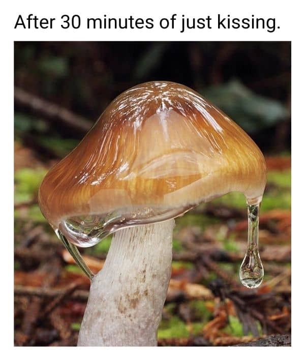 Horny Dick Meme on Mushroom