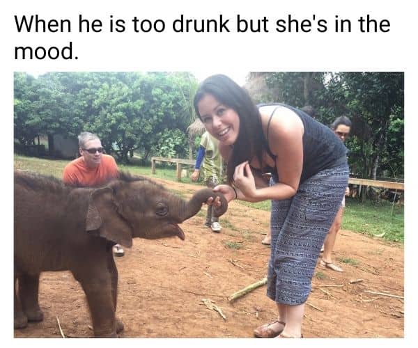 Horny Girl Meme on Elephant Trunk
