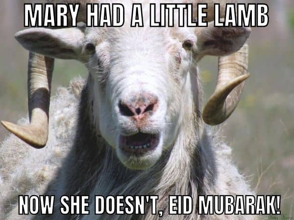 Mary Had A Little Lamb Meme on Eid