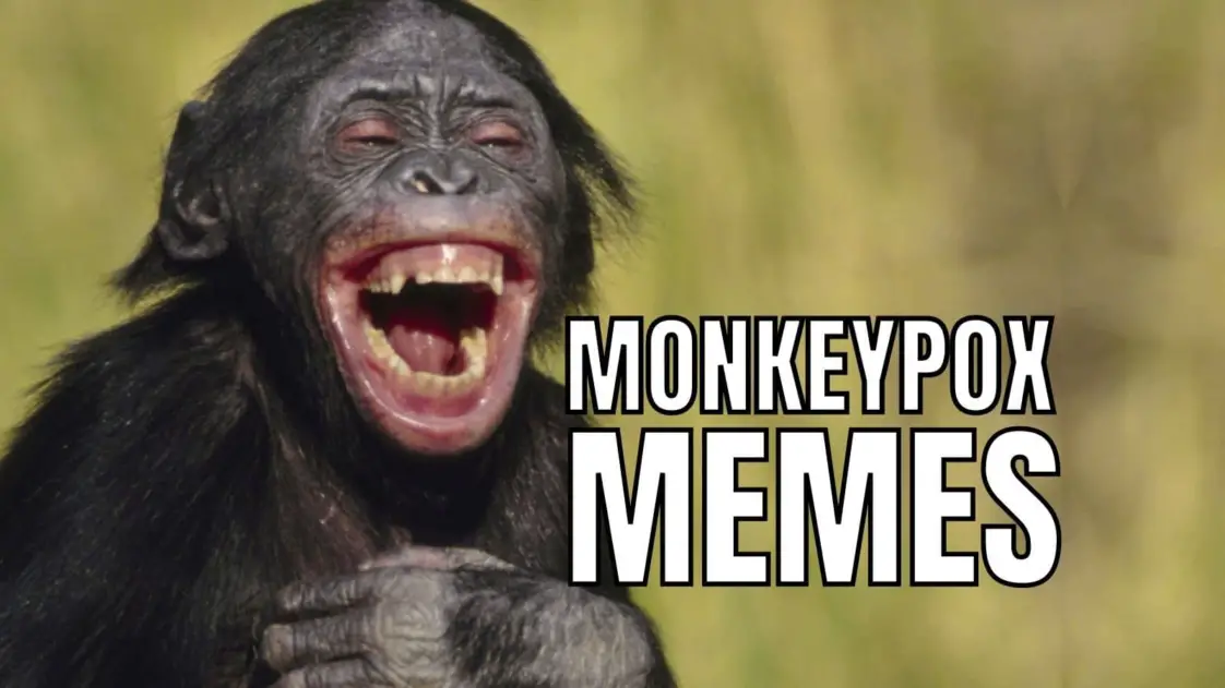 20 Monkeypox Memes To Lighten The Mood In 2023   Monkeypox Memes On Ape 1122x631 