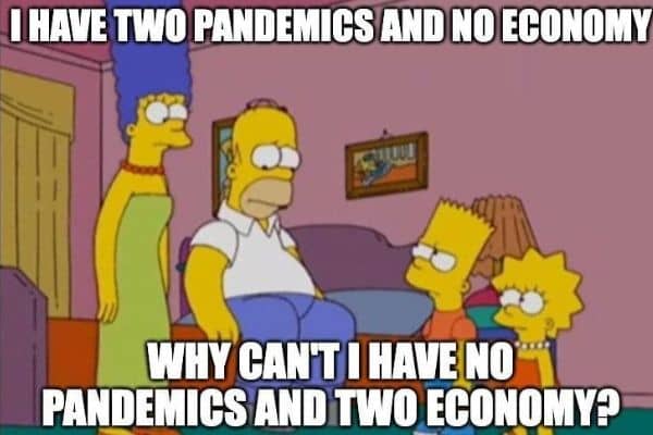 Monkeypox Pandemic Meme on Economy
