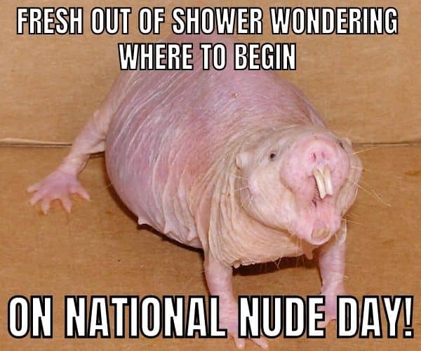 National Nude Day Meme on Shower