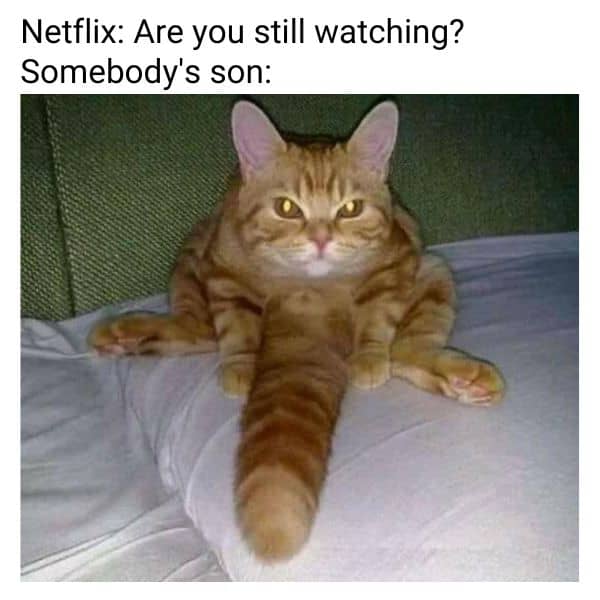 Netflix Are You Still Watching Meme on Somebody's son