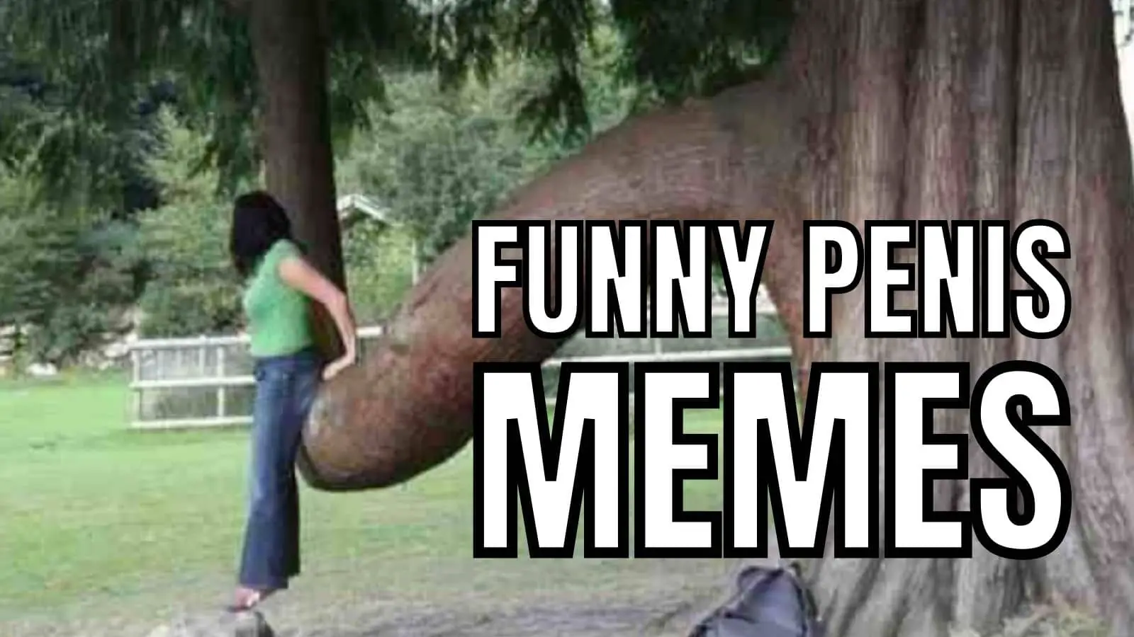 Penis Memes on Dick