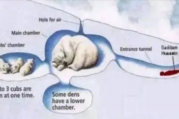 Saddam Hussein's Hiding Place - Meme Template