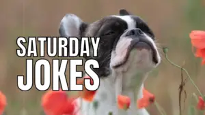 Saturday Jokes on Weekend