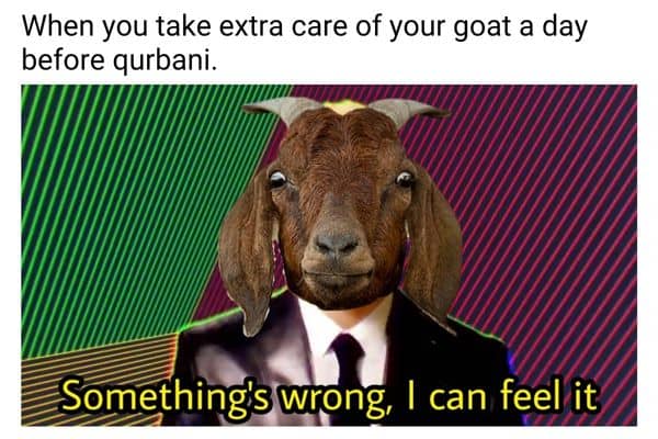 Scared Goat Meme on Eid