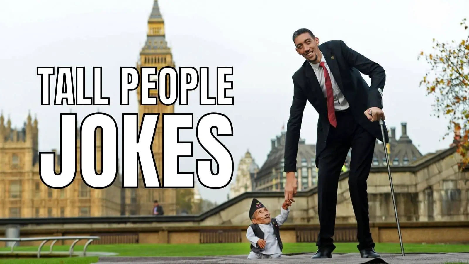 Tall People Jokes on Person