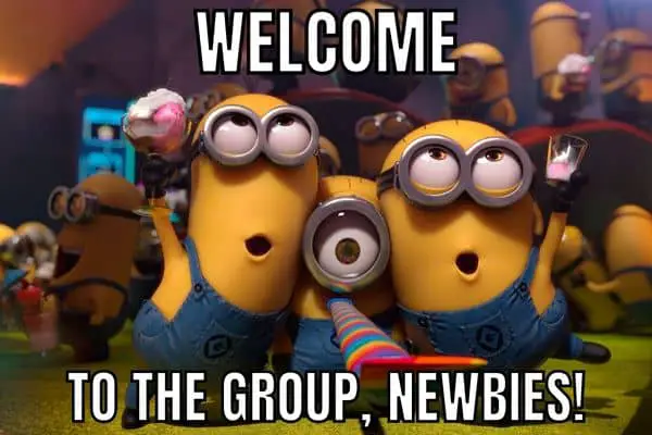 Welcome To The Group Meme on Despicable