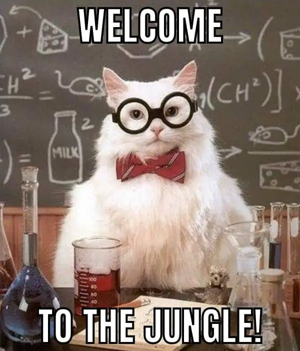 Welcome To The Jungle Meme on Chemistry Cat