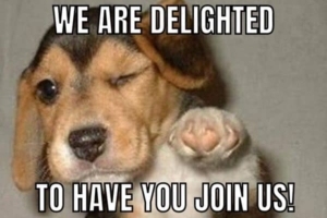 30 Best Welcome Memes For New Team Members - HumorNama