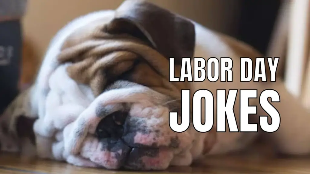 55 Labor Day Jokes For Celebrating 3Day Weekend In 2023