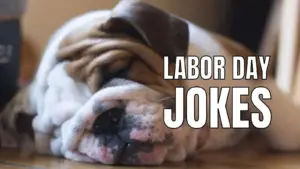 Funny Labor Day Jokes For Employees