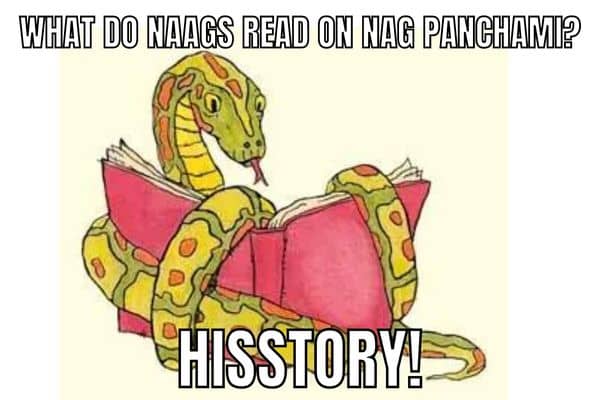 Funny Nag Panchami Meme on Snake