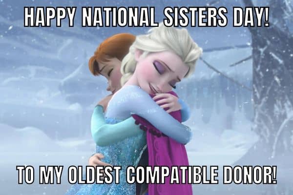 Happy National Sisters Day On Frozen