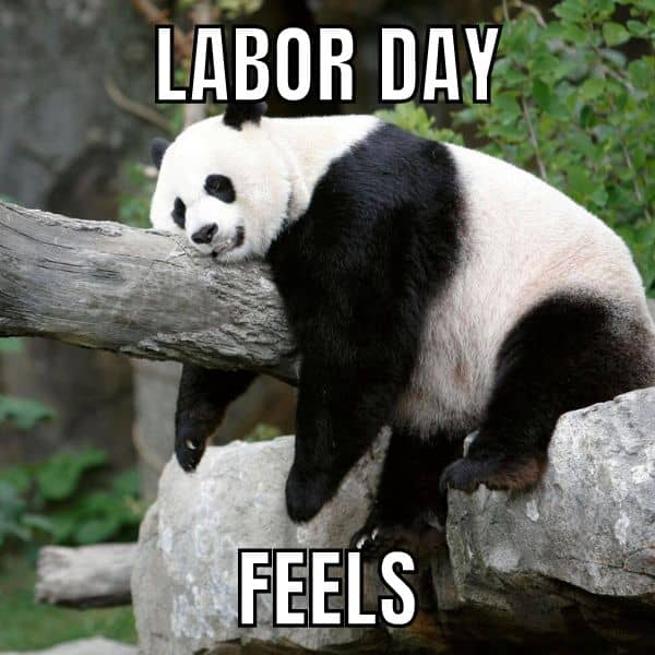 Labor Day Panda Meme