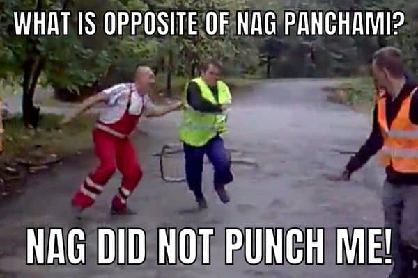 Nag Did Not Punch Me Meme