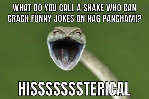 Nag Panchami Joke on Snake